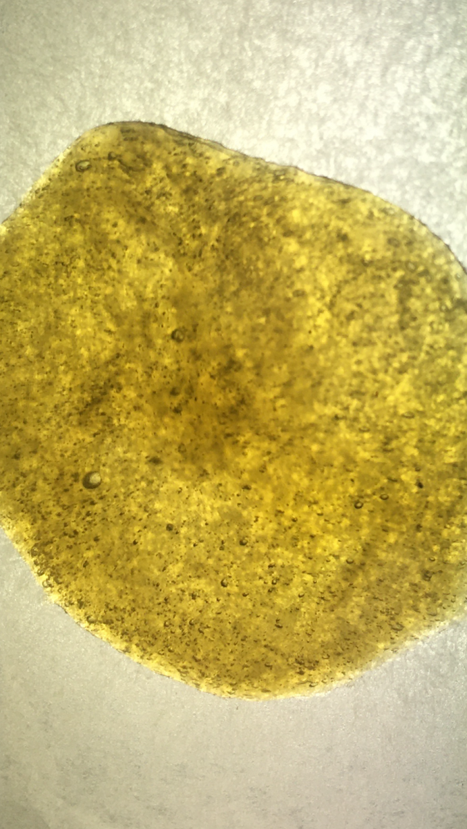 Peyote cookies dry sift rosin press