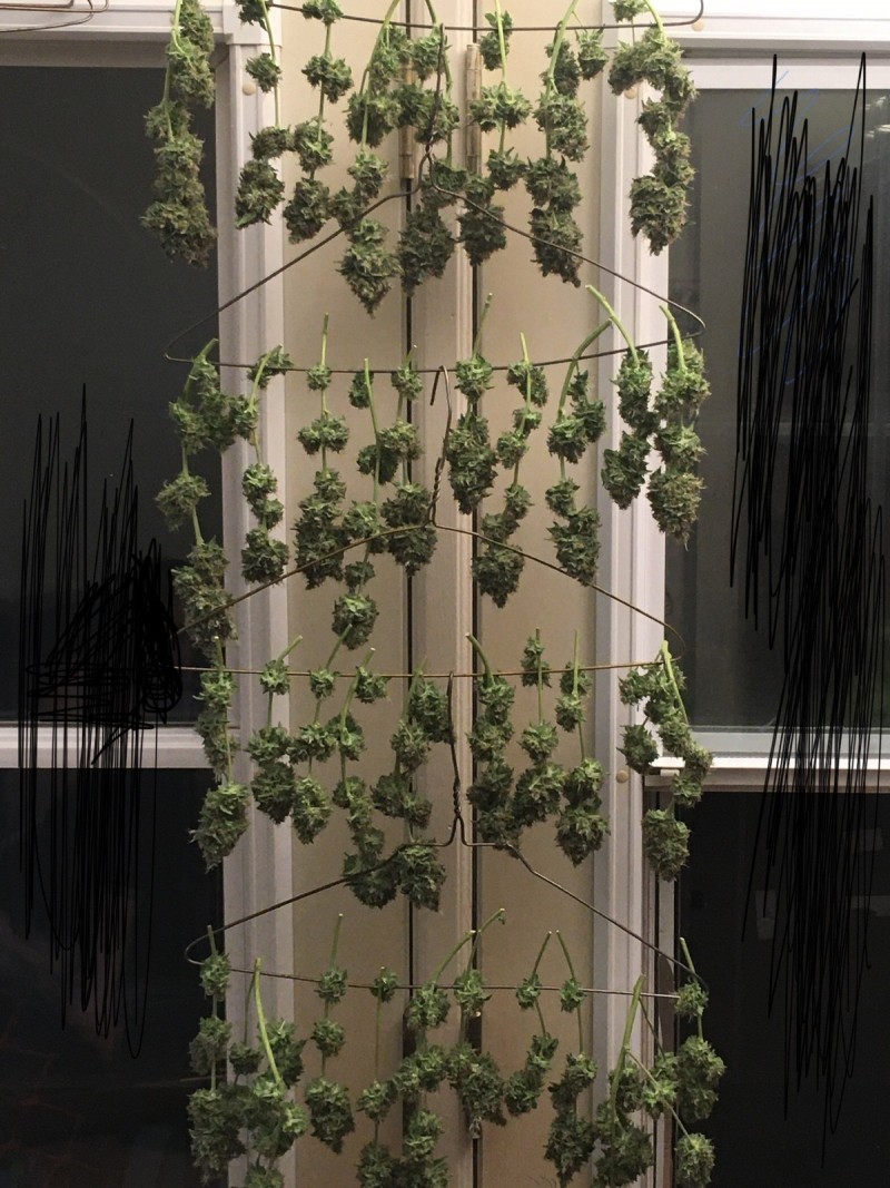 critical impact chop