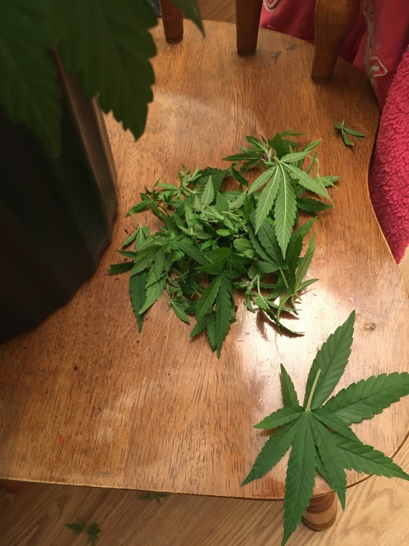 critical mother abuse