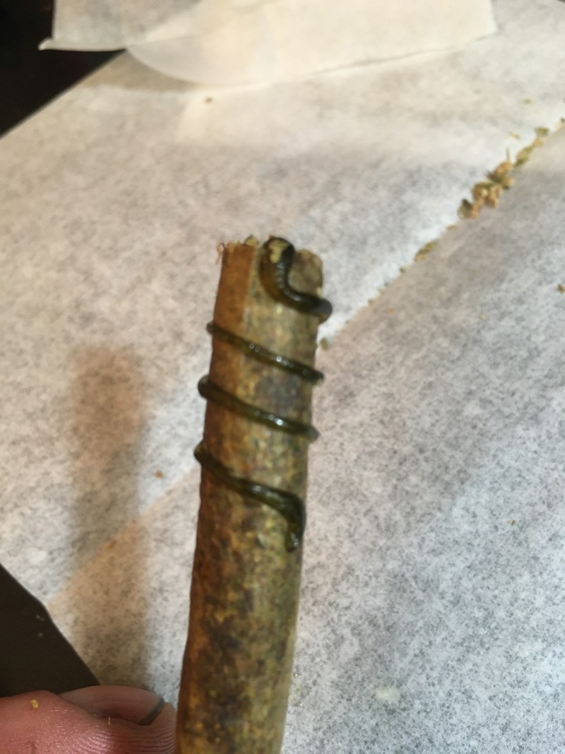 814C1919-6F56-4242-8ACC-C8930E24912E