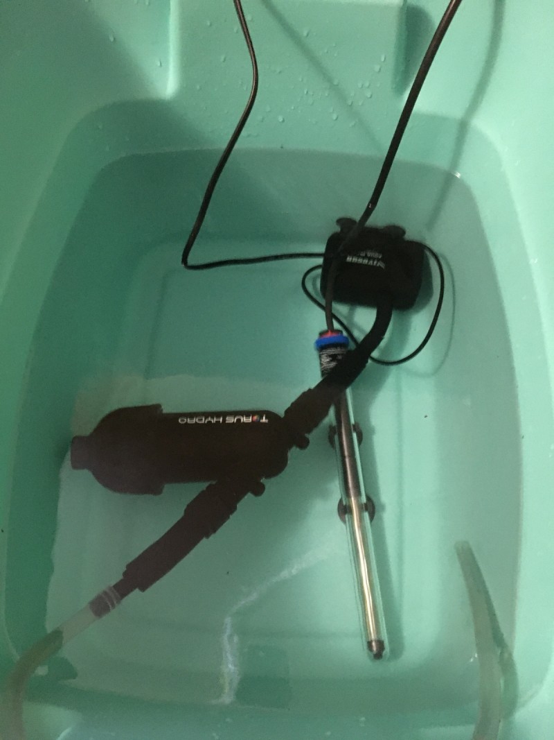 97329F0D-C858-4118-8FCC-454DE227F0D3