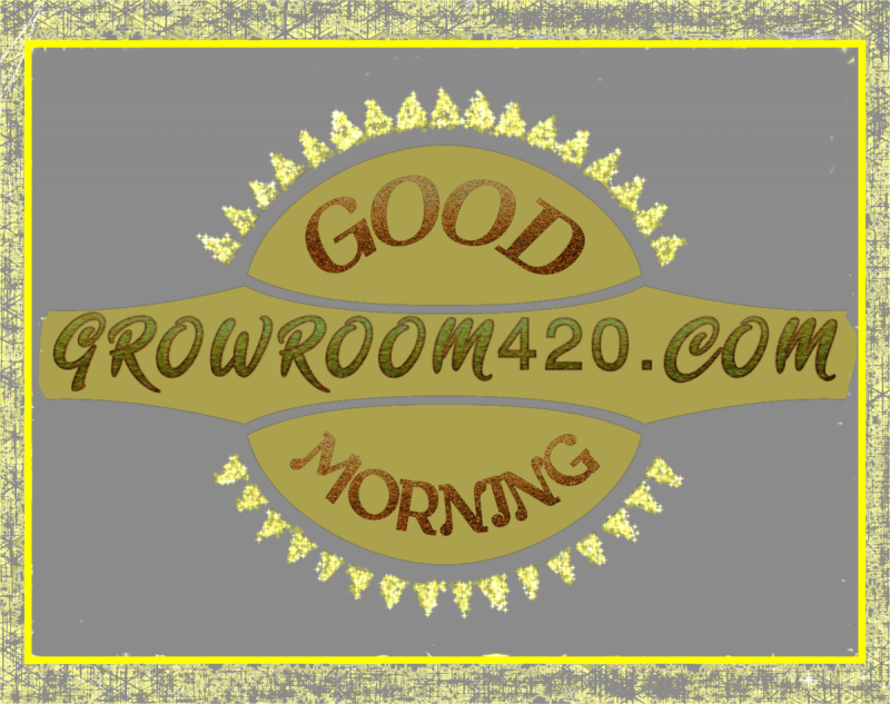 A824C102-5FB3-454D-9AF4-D004EF8D1572