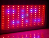 galaxyhydro-300w-led-grow-light