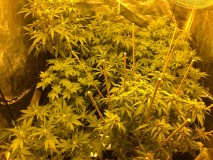 1F576875-8AFC-49F2-B46C-7A70255CBA3F