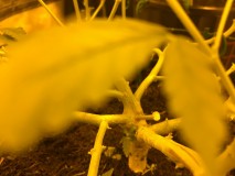 277761A7-F6D0-4401-8B72-BBE1CC90CA31