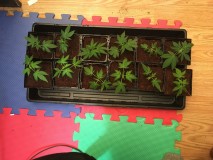 4DA5BC42-E262-4695-B735-8BBC9B0C1946