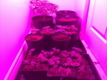 1836D8A9-49ED-44BE-A55D-6DF1CAE4C689