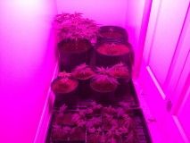 ADE283DB-2E3F-4235-B8B0-8E757B9E97A8