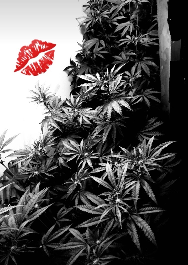 F97E566F-2BE3-4004-B16D-4F1A300E0EF7