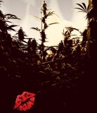 9773A592-B856-4824-A05B-9784FC619F01