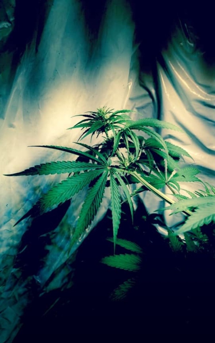 23F585EF-7B18-455C-A98E-F8EAE22FFF13