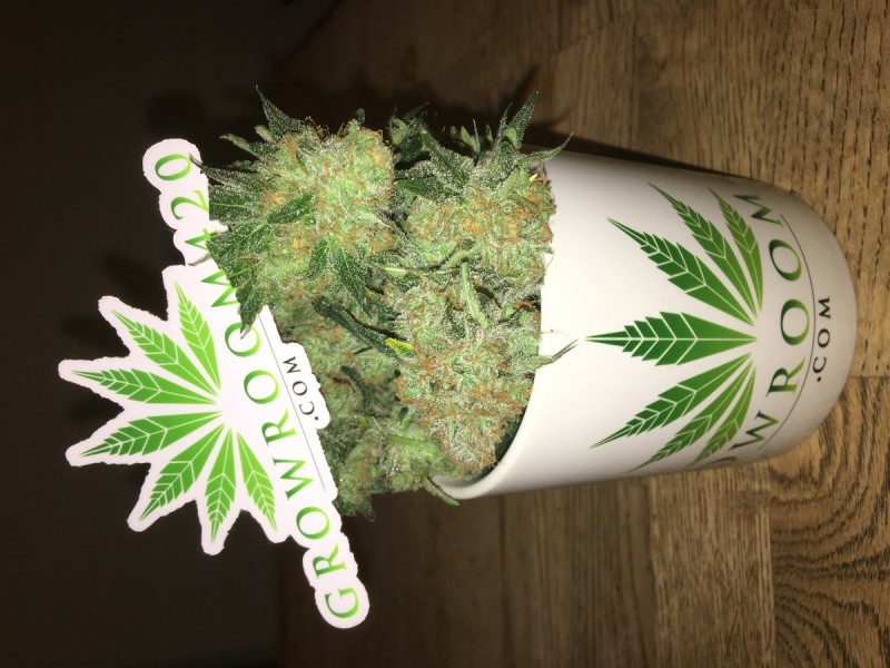 639542CF-C40A-4023-89AF-508523D17DEC