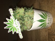 639542CF-C40A-4023-89AF-508523D17DEC