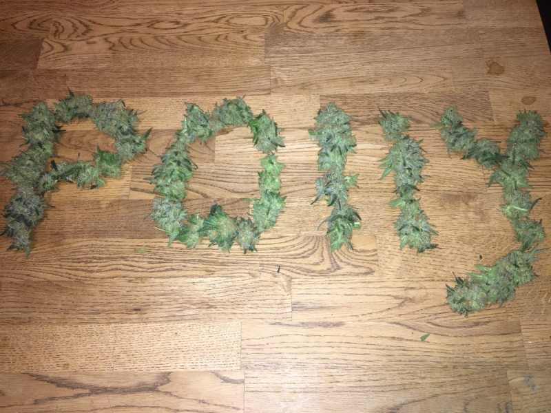 324C32C3-3BD3-41C0-A70B-08910AD3AD46