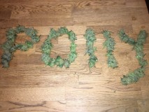 324C32C3-3BD3-41C0-A70B-08910AD3AD46