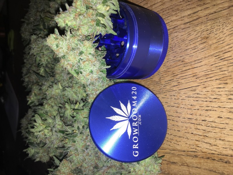 EDC1C20E-6B57-4C2F-B332-C2D70ACBF93B