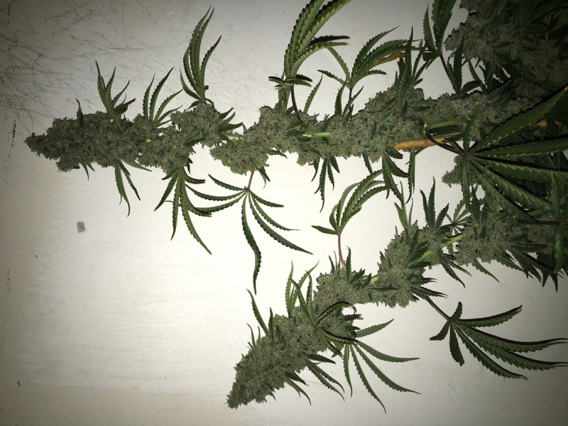 EF726D43-1CA0-4CB5-8ADD-5AEF67B555FD