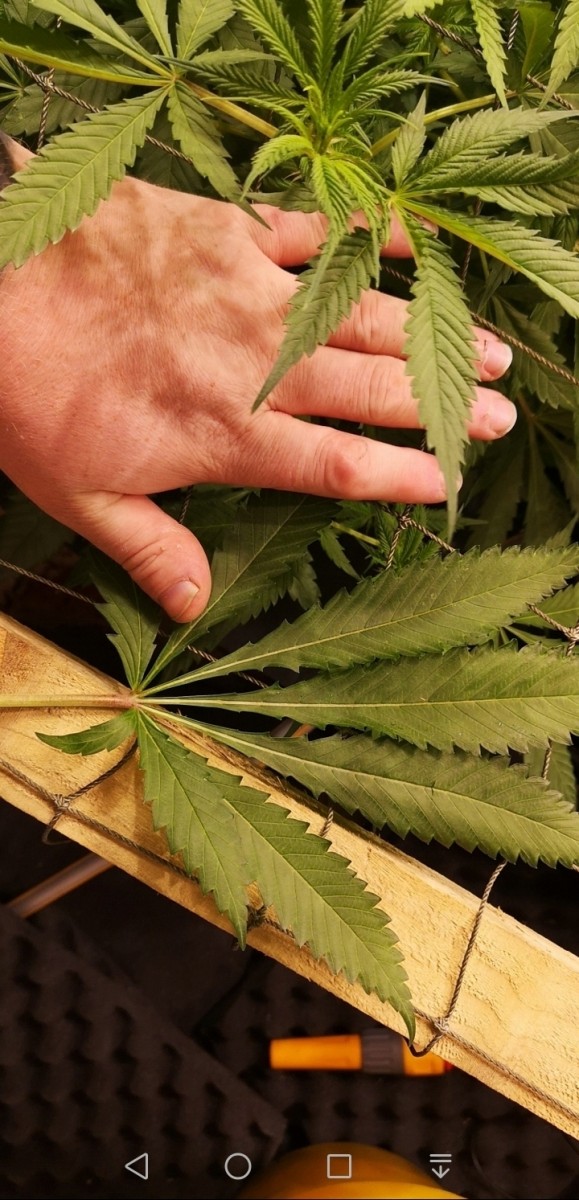 Screenshot_20191215_124500_com.android.gallery3d