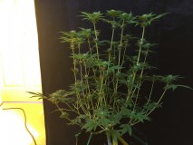 0D693054-C038-41DD-AF89-5D8D02186F9E