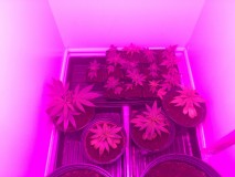 FBED9E76-A6A7-4307-B0B6-9000F0022A4A