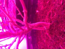 6A213EB0-74C7-4F75-9F4E-39473009625F