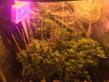 D28E23A1-D86A-414F-B46B-AB67AD901BFC