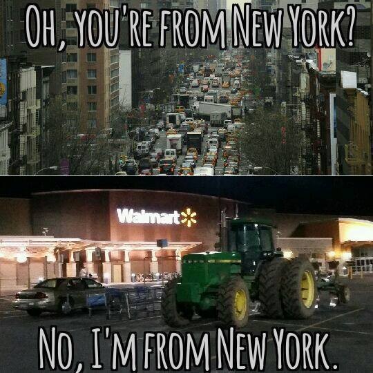 18953055_10213432136941431_5917037120929571606_n