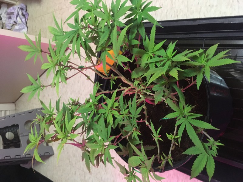 B44F2671-B93B-469F-BEBA-E618666D7F44