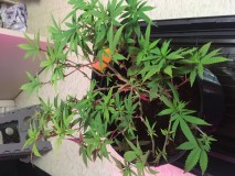 B44F2671-B93B-469F-BEBA-E618666D7F44