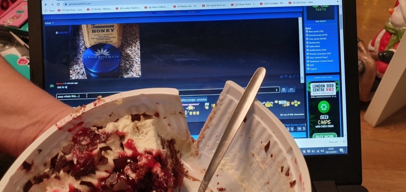 15773165516772201509826643179160