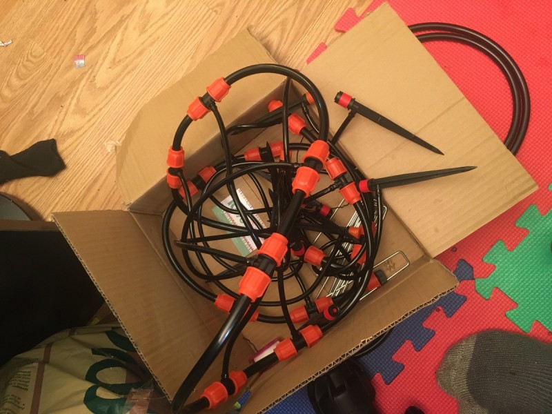 85B37326-4678-4435-994A-0362B2F719FA