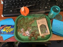 D2E13907-D740-4A4B-81D5-9ADA6AF2CF25