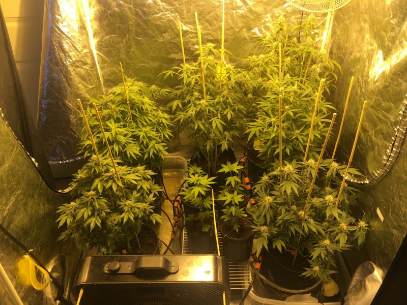 62DCEE09-7C9F-4032-989F-ABFC3AF35466