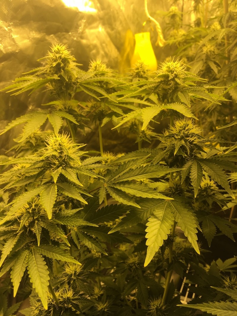 8B9B97A5-9F1F-4D01-BA10-C8E51347E83B