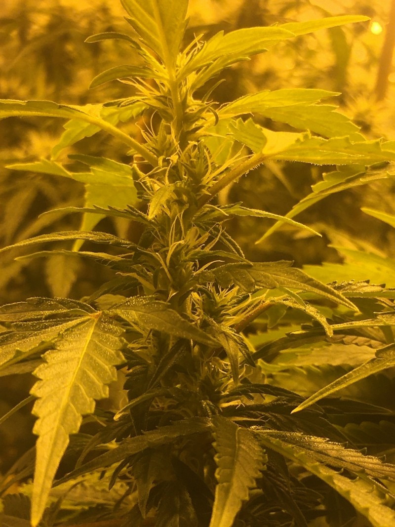 5C18DF61-C47D-4C1D-A890-D326AA2BFC39