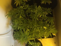 711C4276-53C5-4600-8159-6E14F7F37437