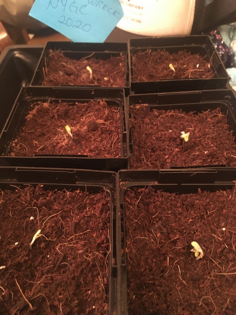 1775A7AB-FCCA-4E0A-833A-C671C985B0D9