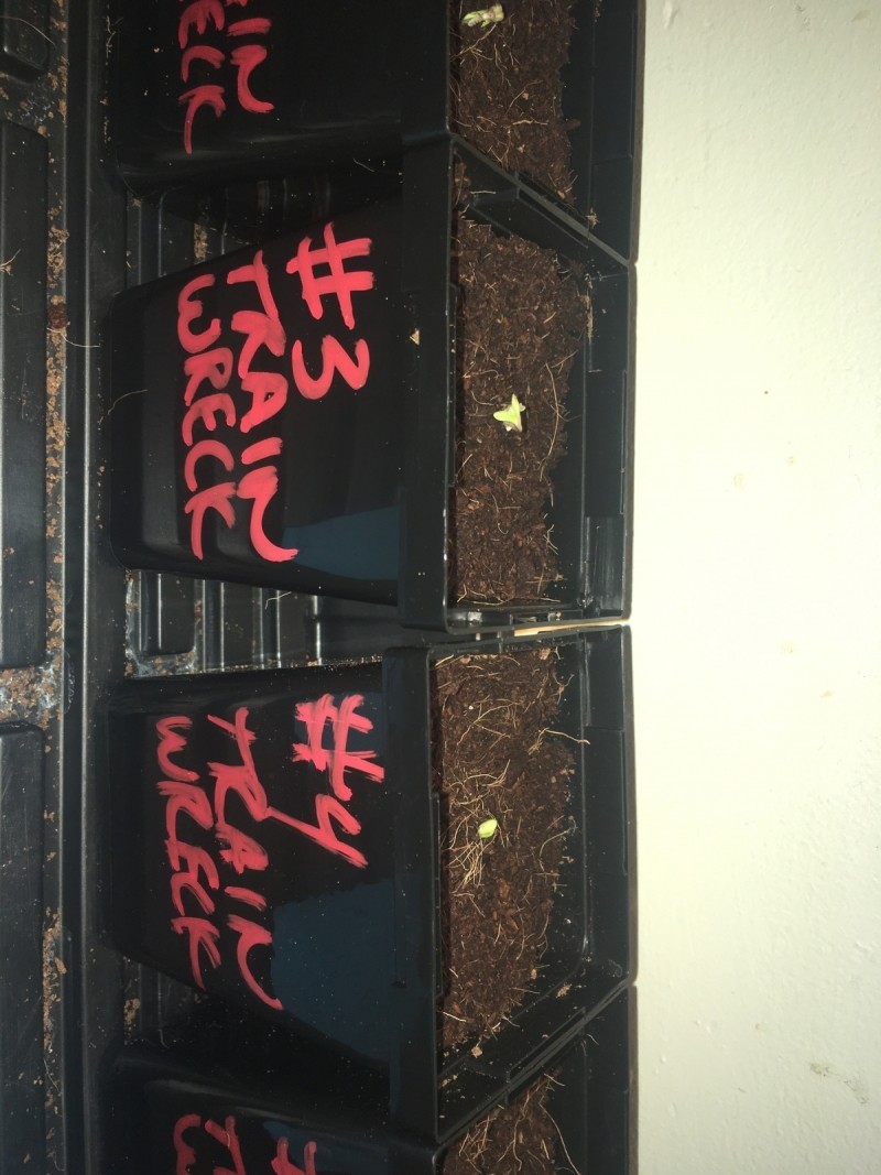 E76DB1F9-C4EA-4590-A2EA-E6FD4FEFE935