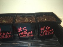 DF752317-87A3-44BD-9A1C-230FB9B69CF2