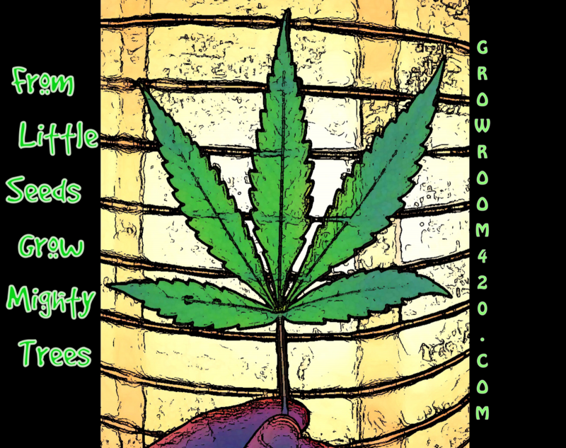 Vintage-08-01-2020_15h51m06s (2)