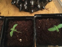 52128E23-40F4-4C1B-83EA-F0DF27EA734C