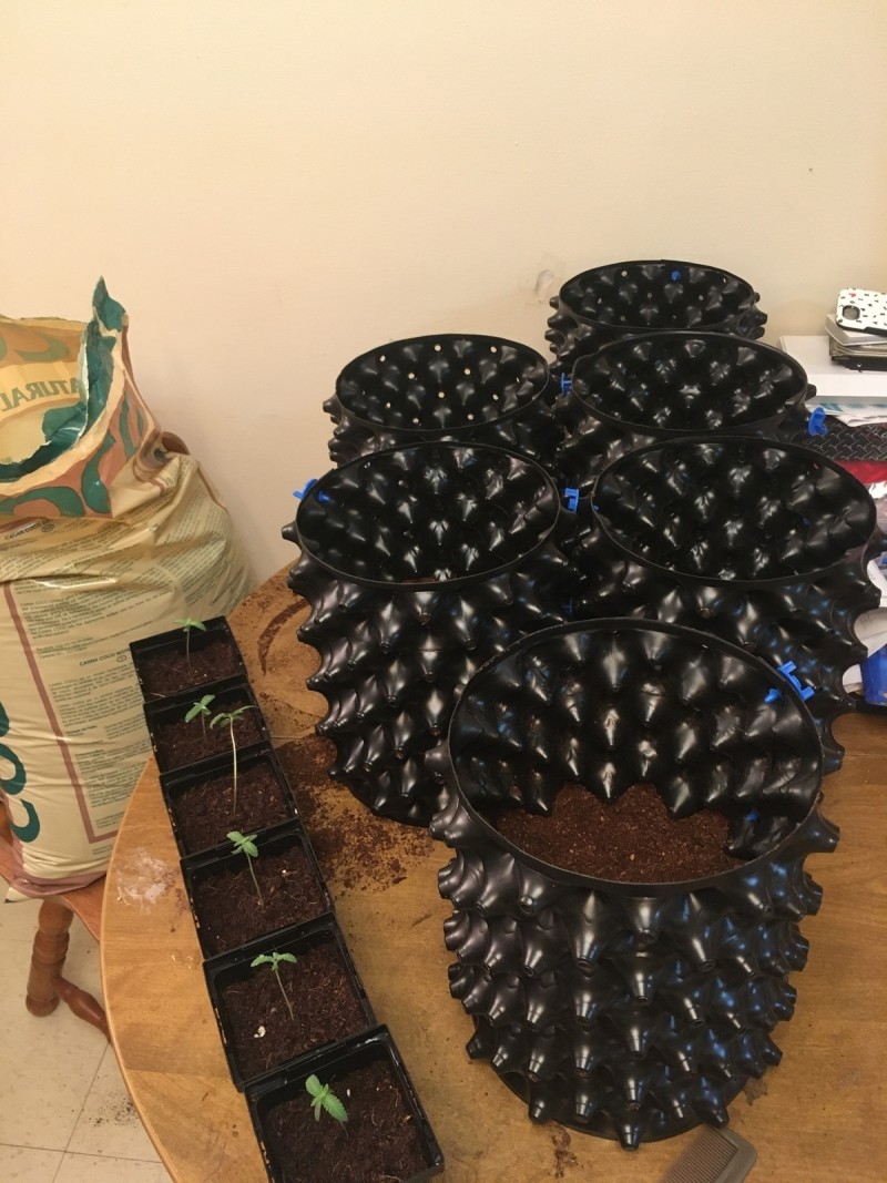 A0816C66-2424-48DA-8D05-997974EAEFAC