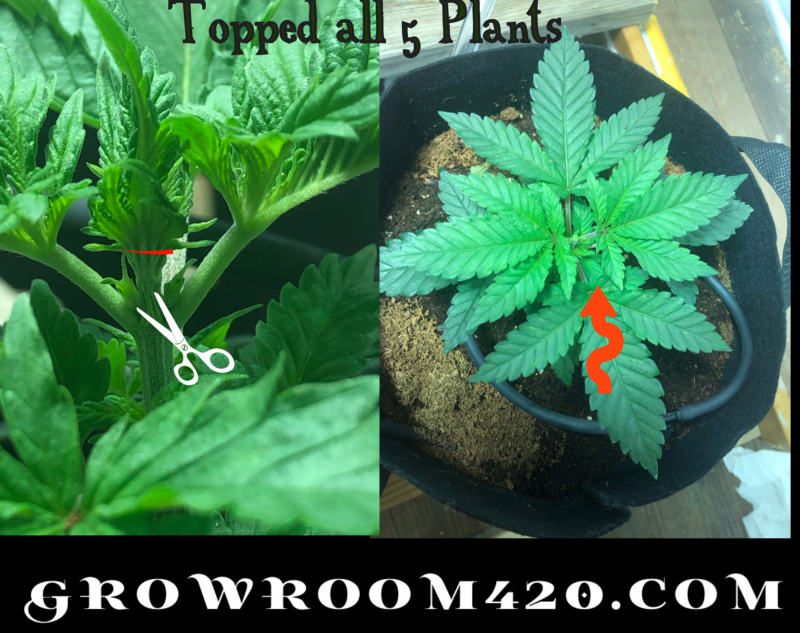 Vintage-14-01-2020_00h29m49s (1)