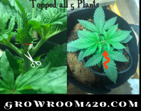 Vintage-14-01-2020_00h29m49s (1)