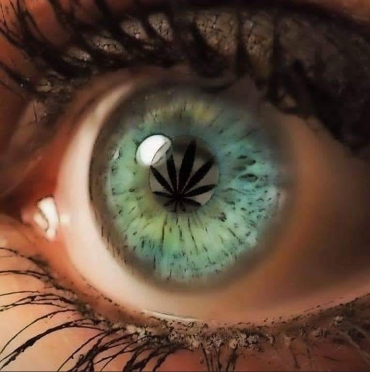 EBD5F7DB-5302-4A78-8E2F-1E2BA943E66C