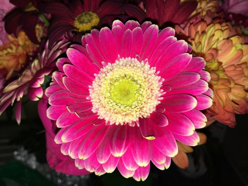 A603AE27-8D06-4E05-9D07-8238808EC921