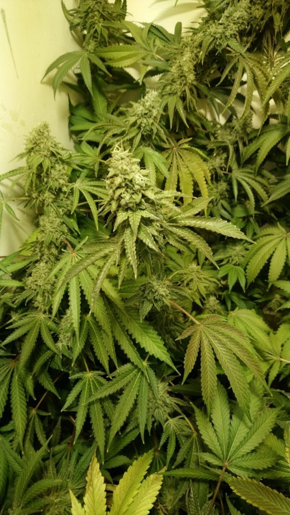 4ACE16E1-2930-4638-8CC5-0DC80DB33EB3