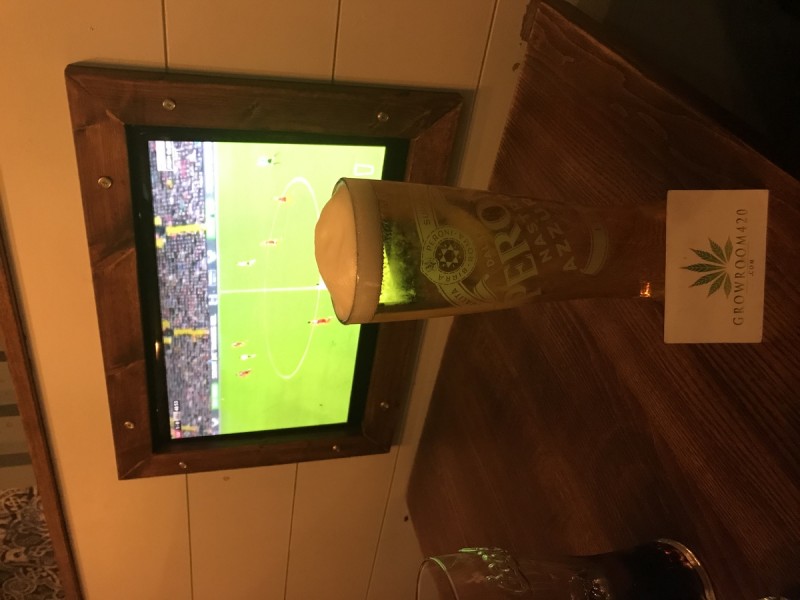 8E117A99-B799-42A2-A14C-85176566D373