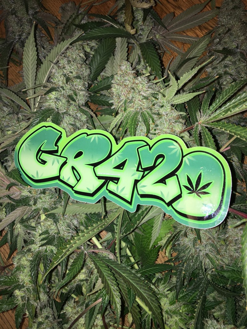 CCF87A98-09BC-47FE-9F4C-63CFC97FA0D2