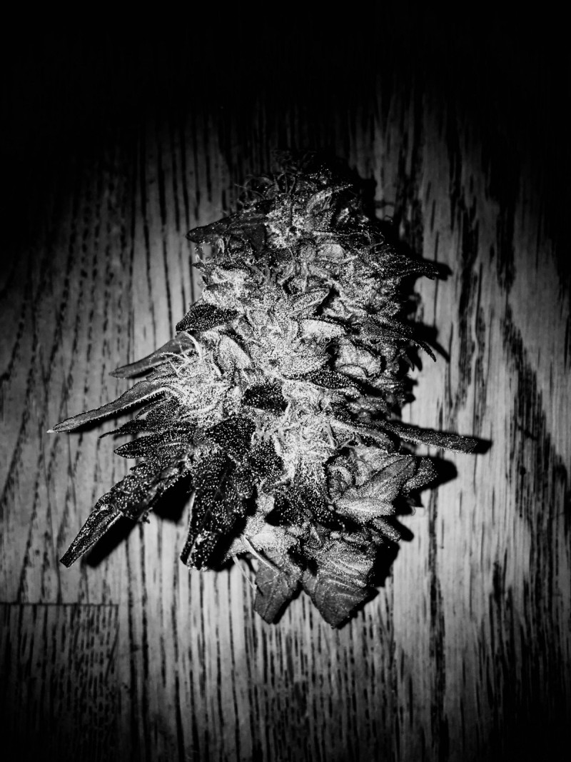 AAC61566-63D4-4E3B-8214-487966498585